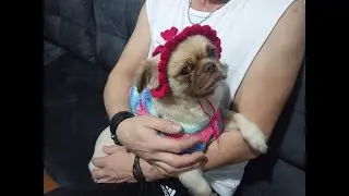 Köpek Şapkası Yapılışı