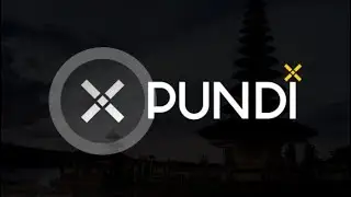 What is Pundi X?