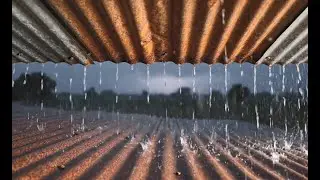 Heavy Rain on Rusty Tin Roof | Relaxing Rain Sounds for Sleep & Focus