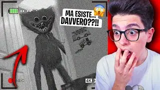 REAGIAMO AI TIK TOK PIÙ VIRALI E PAUROSI DI SEMPRE!! *EP.14*