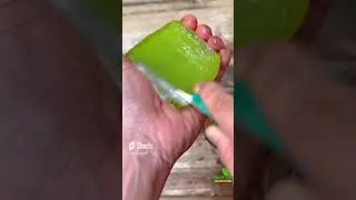 The secret to breeding the most effective FRUIT PLANTS  100%