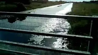 the river bridge at goose lane near chilton polden 24.6.2018.