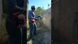 How to clear an overgrown yard DIY #pascocounty #diy #asmr #garden #lawncare