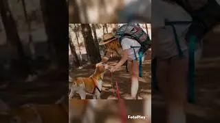 Wanderlust mit Wau Wau Die besten Pfade f&uuml;r kleine Entdecker und gro&szlig;e Schn&uuml;ffler!