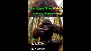 Ranking the wildest Bigfoot flogs #animalcompany #vr #funny #memes #comedy #skit #bigfoot￼