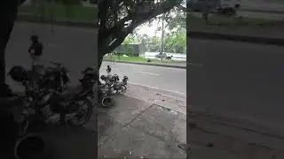 Una super brigadier azul con vig&iacute;as en Neiva Huila