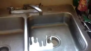 Day 1: Shine Your Sink