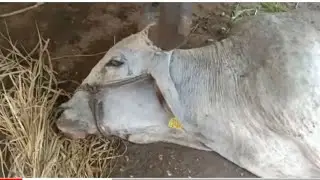 Dehydration l unconscious l coma l Near to death l Dr Umar khan