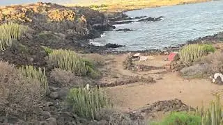 No Tourists Here 🌋 | Wild Coast Walk to Playa Los Enojados, Tenerife