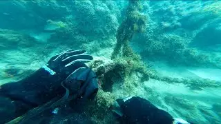 Cleaning the Marina | Diving With Intention