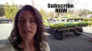 365 Days of DIY - Are you in the zone - THE PLANT ZONE