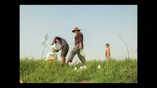 Veal Srov - Grain Field by Kong Siden