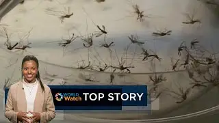 Ghana vaccine for malaria | Top Story