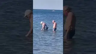 это ЛЮБОВЬ #love #live #like #shortsvideo #рекомендации #новороссийск #beach #friends #music #nature