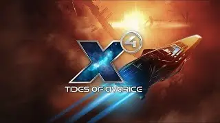 X4 Foundation. Pirate #29