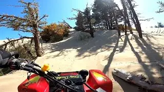 Tree Shots/Hill Climbs On My Banshee With DMC 916's At Florence