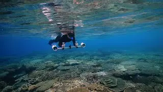 Exploring The Reef With Technology | Life On The Reef | Episode #3