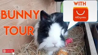 TOUR CASA DECORATA | #bunny #hometour #decorazioni