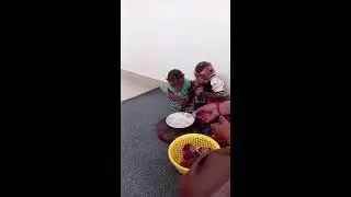 Monkey Icy and Bray-an Eating fruit With mom #monkey #babyanimal #animallife #cute #livestream