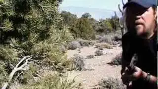 The Great Shot- Jeff Reylee