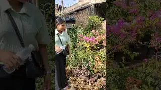 paise kaha se lau ab #minivlog #ecommercewala #bokf #ytshorts #shorts
