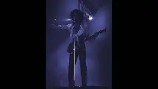 The Dopamine Rush - Prince