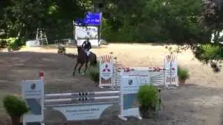 SA Equestrian 5j. by Chepetto(Cento)/Arystokrat