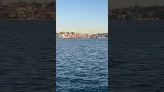 #onelifevlogz #sydney #australia #pottspoint #shortsvideo #ferrytravel