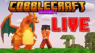 Creating The ULTIMATE Gym Team in Minecraft Cobblemon LIVE