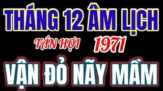 Vận đỏ nãy mầm, tháng 12 âm lịch! tử vi Tân Hợi 1971! Phúc lộc hội tụ, may mắn kéo dài! 