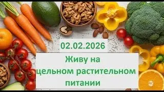 Живу на цельном растительном питании. 02.02.2026