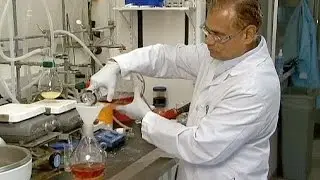 Pfizer и Merck будут работать над антираковой терапией вместе - economy