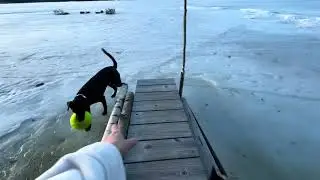 Mr. Bean Ball is Life on the Water 