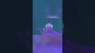 Ant adventure | Part 5 #shorts