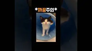 고양이 모음 집zip (106) #고모집