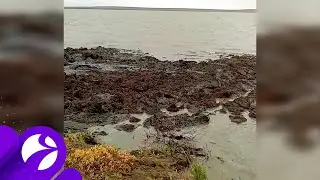 Оползень в Гыданской тундре. ВИДЕО
