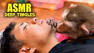 Real MONKEY ASMR to Tuck You In | DEEP Relaxing Hair Tracing + TINGLY Scratches to FALL ASLEEP FAST