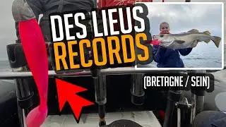 UN NOUVEAU RECORD P&Ecirc;CHE DU LIEU AUX LEURRES SOUPLE 🎣 FIRE EEL DELALANDE 📌 BRETAGNE / &Icirc;LE DE SEIN
