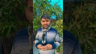 परीक्षा देकर आ गए 😂#funny #comedy #comedyshorts