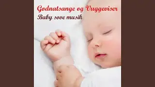Lille kat