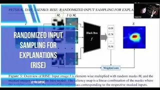READ AI WITH ME - RISE (PETSIUK ET AL., 2018)