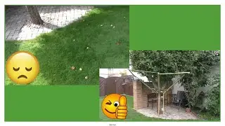 🍎 Apples & Fallen Fruit &ndash; How to Catch Them Gently! 🌿🍎