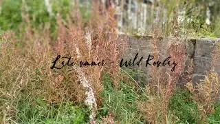 Wild Rosebay - Life in the Long Grass Dye Studio