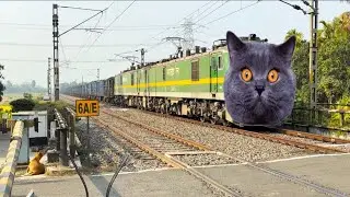 Dangerous CAT Headed Coal Loaded Freight Train Furious Moving Throughout At Railgate 