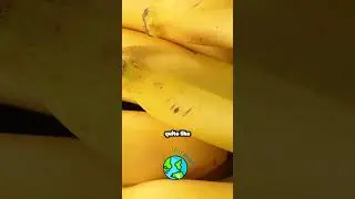 The Shocking Fact About Artificial Banana Flavor