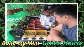 Build my Mini Greenhouse to Start my New Farming Hobby and Hydroponic Setup! #farming #hydroponics 