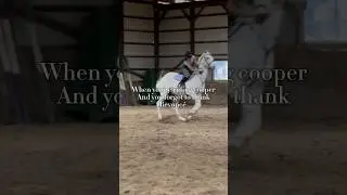 Sorry beyonće 😭 #equines #horse #equinelearning #equinewellness #equestrian