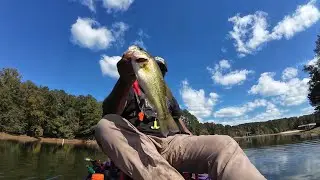 Testing a Brand New Area on Lake Allatoona &ndash; Big Bites or Big Bust?