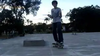 Fackie Flip Tailslid