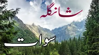 Travel Vlog In Pakistan|| Shangla Swat kpk Pakistan|| Most Beautiful place in Pakistan